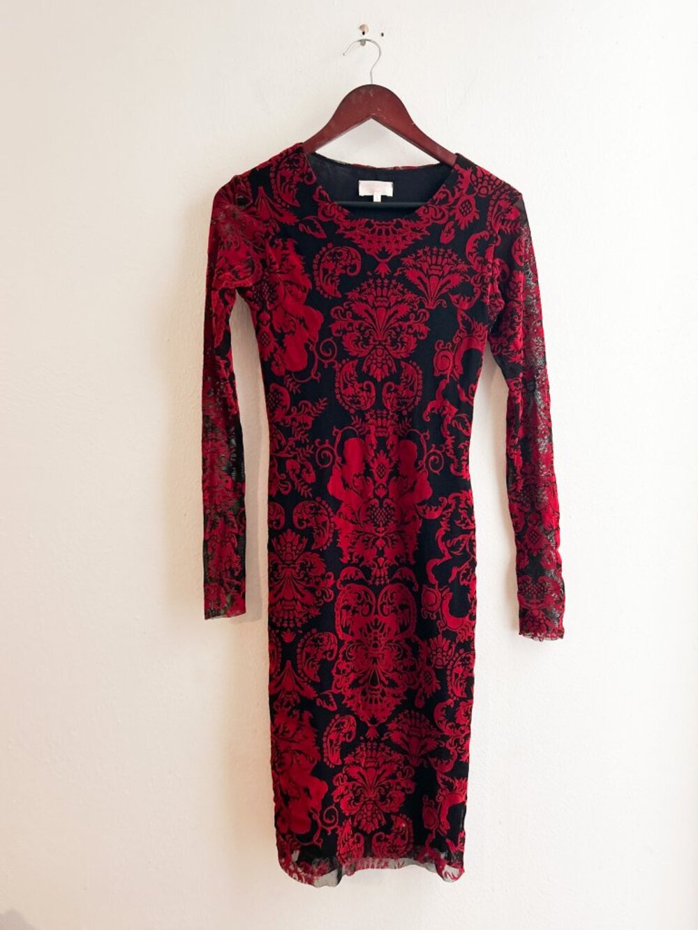 Y2K Petite Pois Mesh Burnout Velvet Damask Long Sleeve Dress